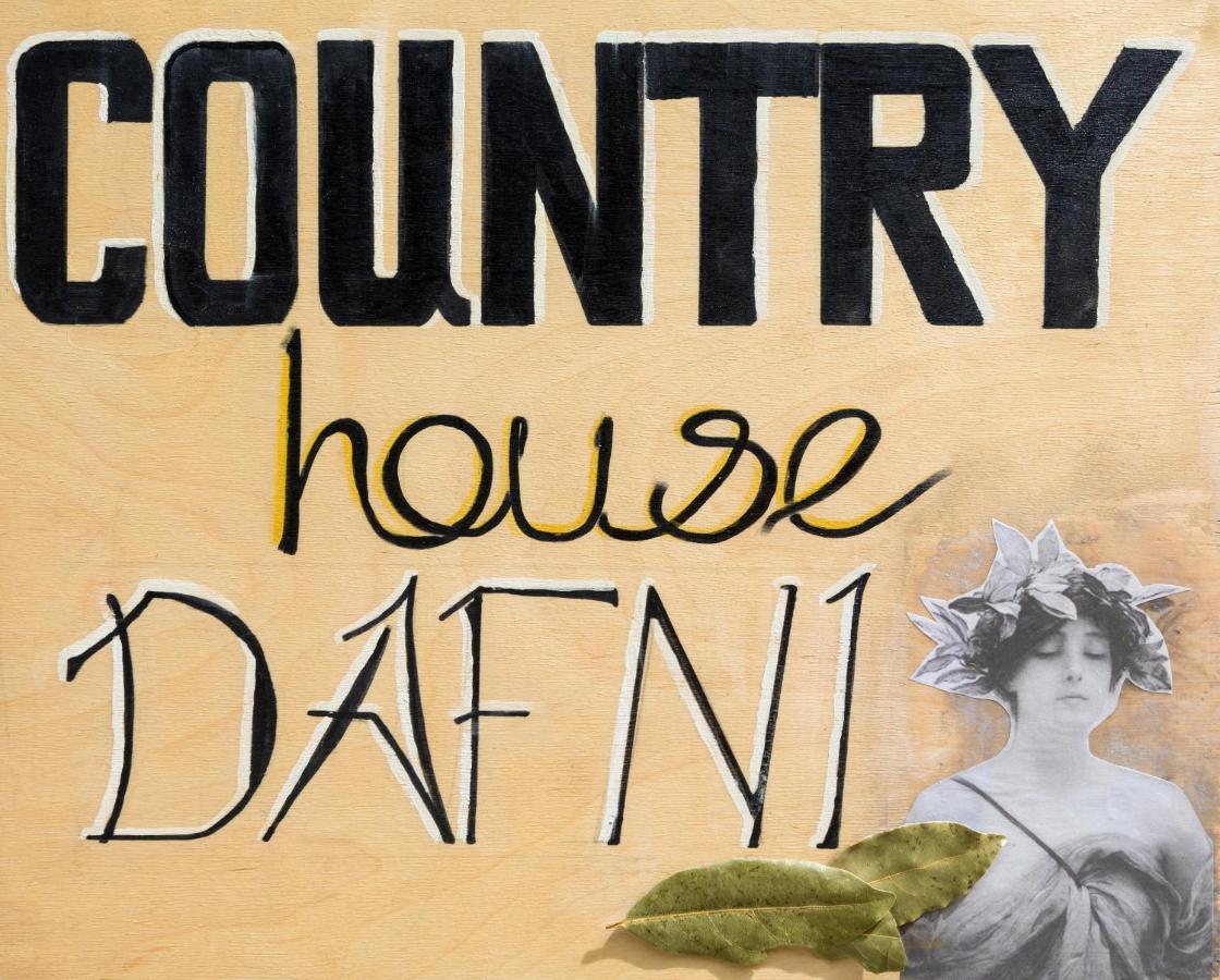 Country House Dafni Vasilikí Exteriör bild